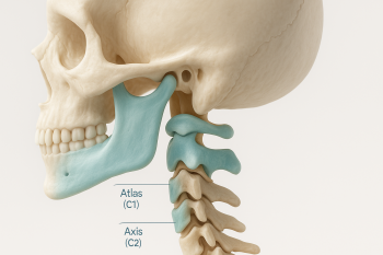 Upper Cervical Chiropractic: Everything You Need to Know